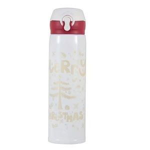 Water bottle anti-microbial Christmas gift for adults and kids